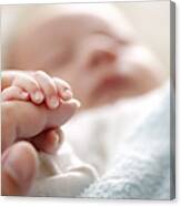 Photo Of Newborn Baby Fingers Canvas Print