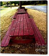 Picnic Tables In A Row Canvas Print