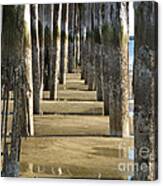 Pier Pressure Canvas Print