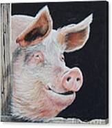 Piggy.  Sold Canvas Print