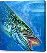 Pike And Ice Fishing Canvas Print