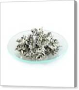 Pile Of Tin Granules Canvas Print