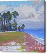 Pine Island Beach Canvas Print