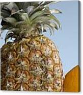 Pineapple And Friends Canvas Print