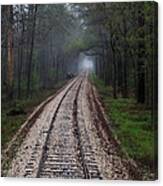Pineywoods Train Excursions Canvas Print