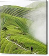 Ping'an Rice Terraces Canvas Print
