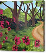 Pink Azalea Path Canvas Print