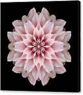 Pink Dahlia Flower Mandala Canvas Print