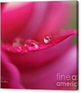 Pink Droplet Canvas Print