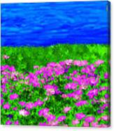 Pink Field Of Flowers Canvas Print