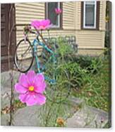 Pink Flower Blue Bike Canvas Print