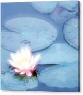 Pink Flower In Pond, Lotus Canvas Print