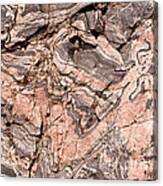 Pink Gneiss Rock Canvas Print