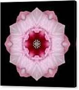 Pink Hibiscus I Flower Mandala Canvas Print