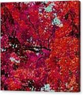 Pink Leaves Canvas Print