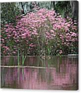 Pink Magnificence Canvas Print