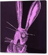 Pink New Mexico Rabbit Canvas Print