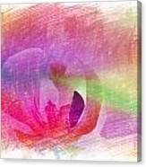The Pink Petal Of Orchid Canvas Print