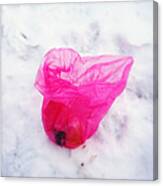 Pink Plastic Bag Lying On White Snow Canvas Print