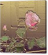 Pink Rose In Gold Leaf Canvas Print