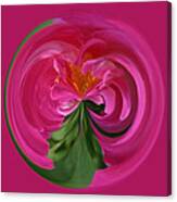 Pink Rose Series 112 Canvas Print