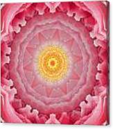 Pink Rose Sunshine Mandala Canvas Print