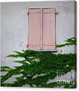 Pink Shutters And Green Vines Canvas Print