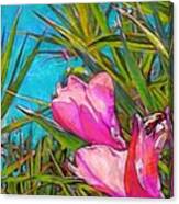 V Pink Tropical Flower With Honeybee - Horizontal Canvas Print