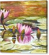 Pink Waterlilies Canvas Print