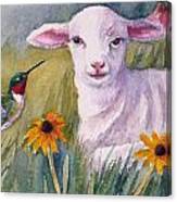 Pissaro And The Lamb Canvas Print
