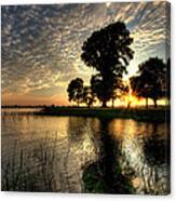 Pithers Oaks Canvas Print