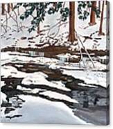 Pixley In Winter Canvas Print