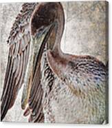 Plaid Pelican Canvas Print
