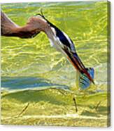 Plucked From The Sea Canvas Print