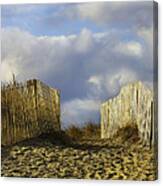 Plum Island Fence Canvas Print