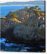 Point Lobos Number 9 Canvas Print