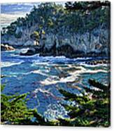 Point Lobos Canvas Print