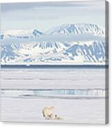 Polar Bear And Cubs On Arctic Sea Ice Canvas Print