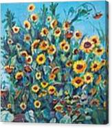 Polk Farm Sunflowers Canvas Print