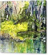 Pond At Eckerd College Canvas Print