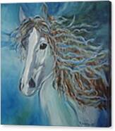 Pony Canvas Print