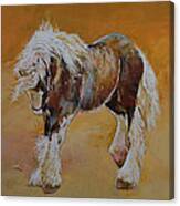Gypsy Pony Canvas Print