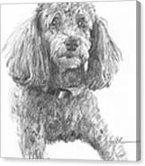 Poodle Pencil Portrait Canvas Print