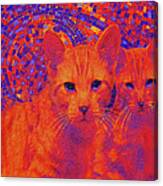 Pop Art Cats Canvas Print