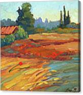 Poppies Bedoin Provence Canvas Print
