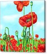 Poppies N' Pods Canvas Print