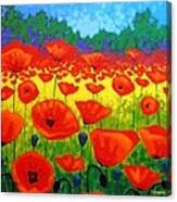 Poppy Field V Canvas Print