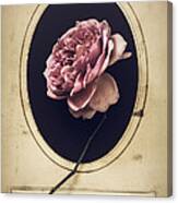 Portrait Of A Rose Canvas Print