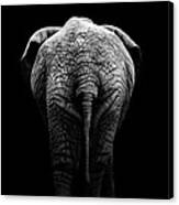 Portrait Of Elephant In Black And White Ii Canvas Print