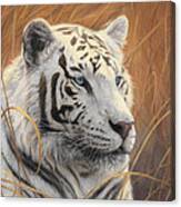 Portrait White Tiger 2 Canvas Print